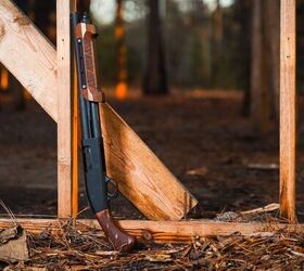 POTD: The Woox Walnut Gladiatore Grip & Forend Kit