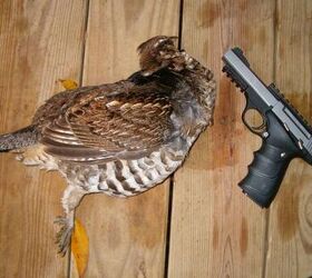 Albums H235 Radsport2Er Buckmarkgrouse