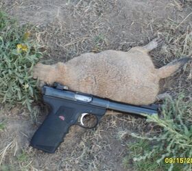  Albums B49 Jshull4105 S5000878