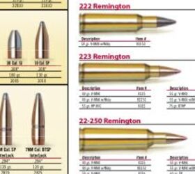 Hornady Bullet Poster | thefirearmblog.com