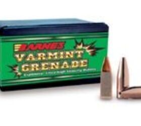 Varmint Grenade bullet