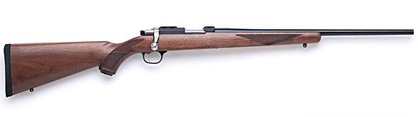 Ruger 77/22 view 3