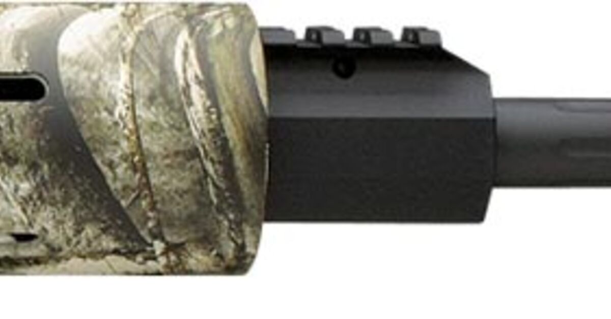 Remington Model R-25: New AR-10 in .243, 7mm-08 and .308 ...