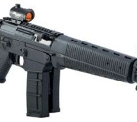 New SIG 556 Classic (550 "Clone")