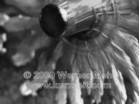 Incredible slow motion bullet video | thefirearmblog.com