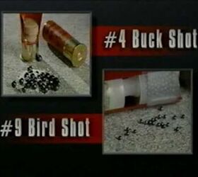 Rounds of Authority: Shotgun Ammunition