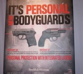 w bodyguard 380 pistol and 38 revolver