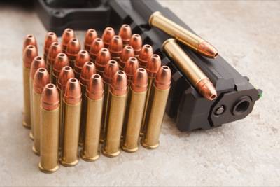 Kel Tec Pmr 30 Problems