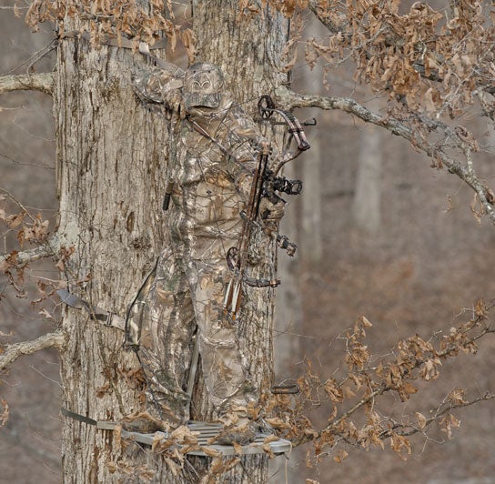Tree Rt What Is Realtree Camo