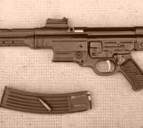 FMAP-DM CAM 1: The Argentine Stg44 Clone