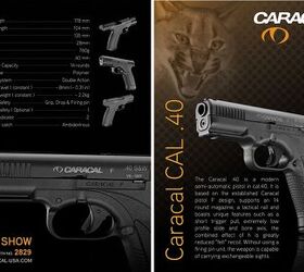 Caracal_40_d