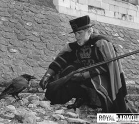 The Tower Ravenmaster shows the new gun to one of the Tower's ravens, 1984  Royal Armouries