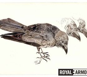 More detailed drawing by Appleby used as reference for the feather engraving on the gun, 1984