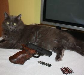 Gun Review: Race Glock - building bigger with Grey Poupon ...