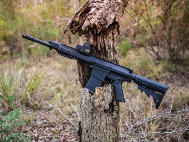 Gun Review: Intrepid Tactical Solutions RAS-12 Shotgun and Shotshells ...