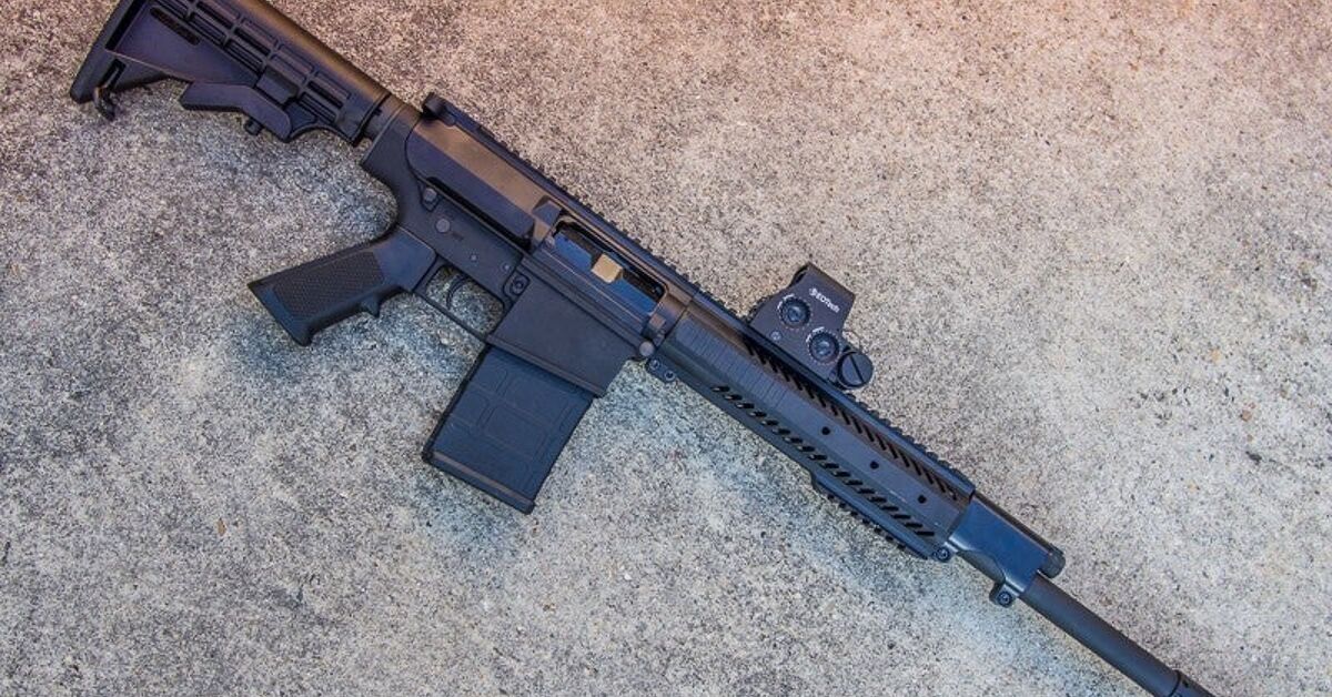 Gun Review: Intrepid Tactical Solutions RAS-12 Shotgun and Shotshells ...