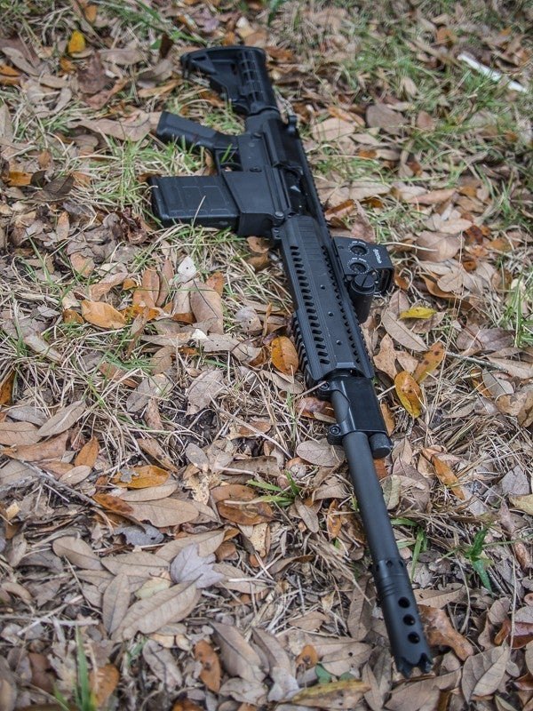 Gun Review: Intrepid Tactical Solutions RAS-12 Shotgun and Shotshells ...