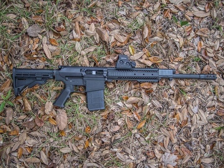 Gun Review: Intrepid Tactical Solutions RAS-12 Shotgun and Shotshells ...