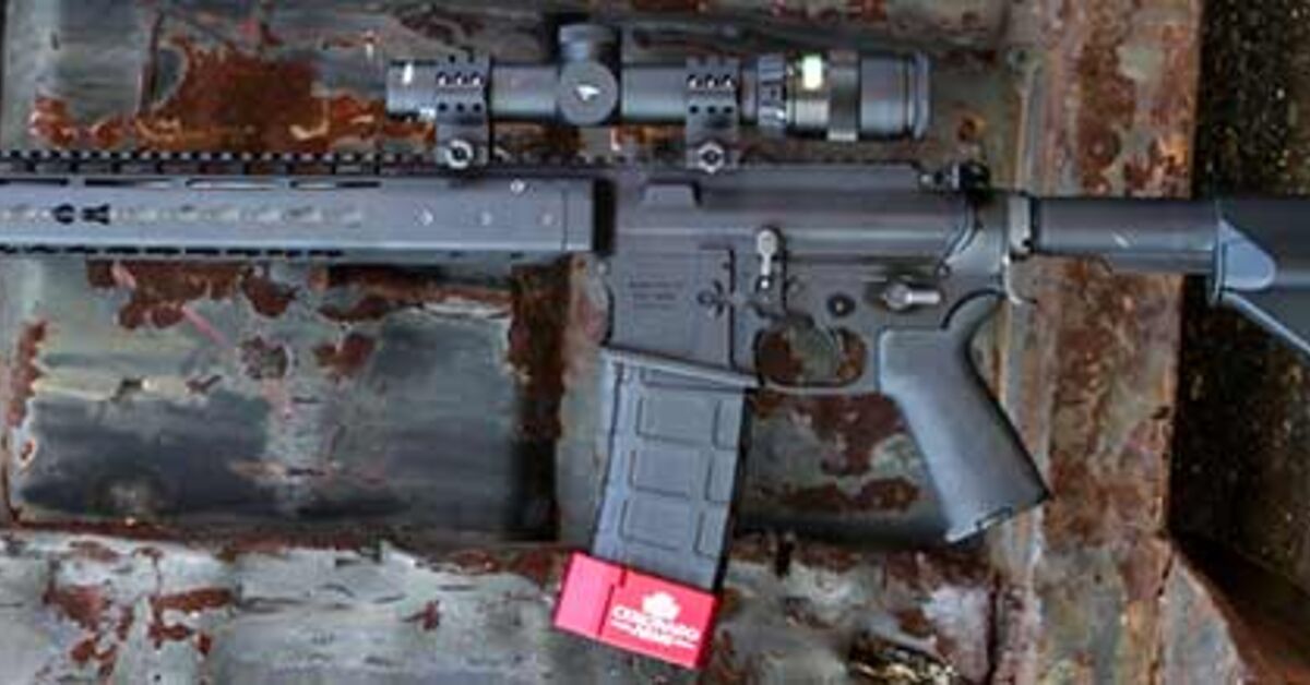 Coronado Arms Competition Rifle and Carbine | thefirearmblog.com