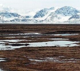 Svalbard Tundra