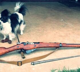 POTD: Francophile (Dog and Gun #1)