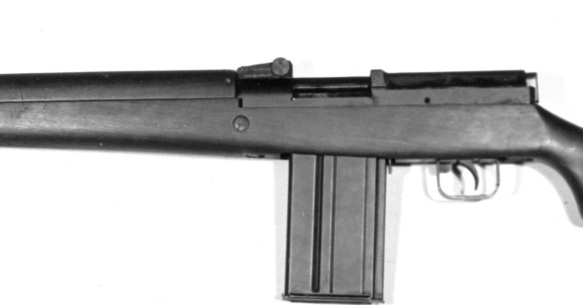 The SAL SLR: The Canadian .30 Cal. Self-Loader You Never Knew Existed ...
