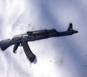 potd yugo enjoying the snow