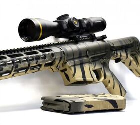 POTD: Bengal Tiger Stripe AR