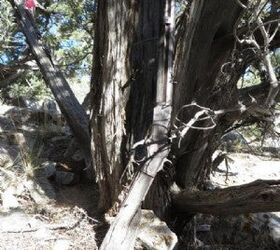 Original 1873 Winchester Found In Great Basin National Park