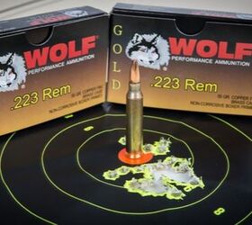 How Accurate is Wolf Gold? VSO Tests