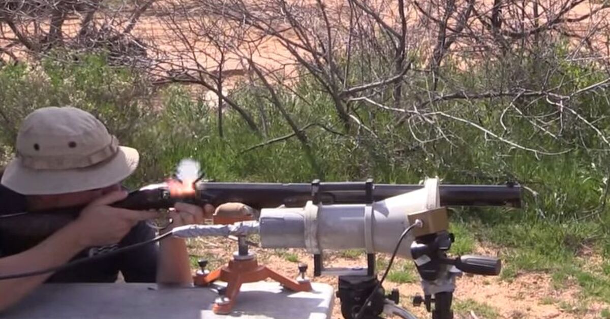Good Rifle Bore 10 Bore Gun