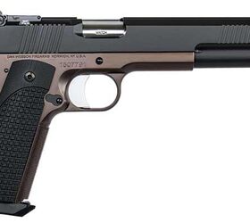 New Dan Wesson "Bruin" 10mm Long Slide 1911 by CZ