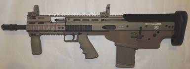 bullpup17