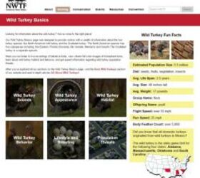 New NWTF Turkey Basics Microsite