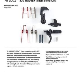 AR Blaze SSD Trigger