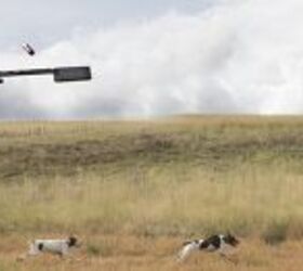 Hunting With Suppressors – Bridging The Divide Between Traditional And Tactical Shooters