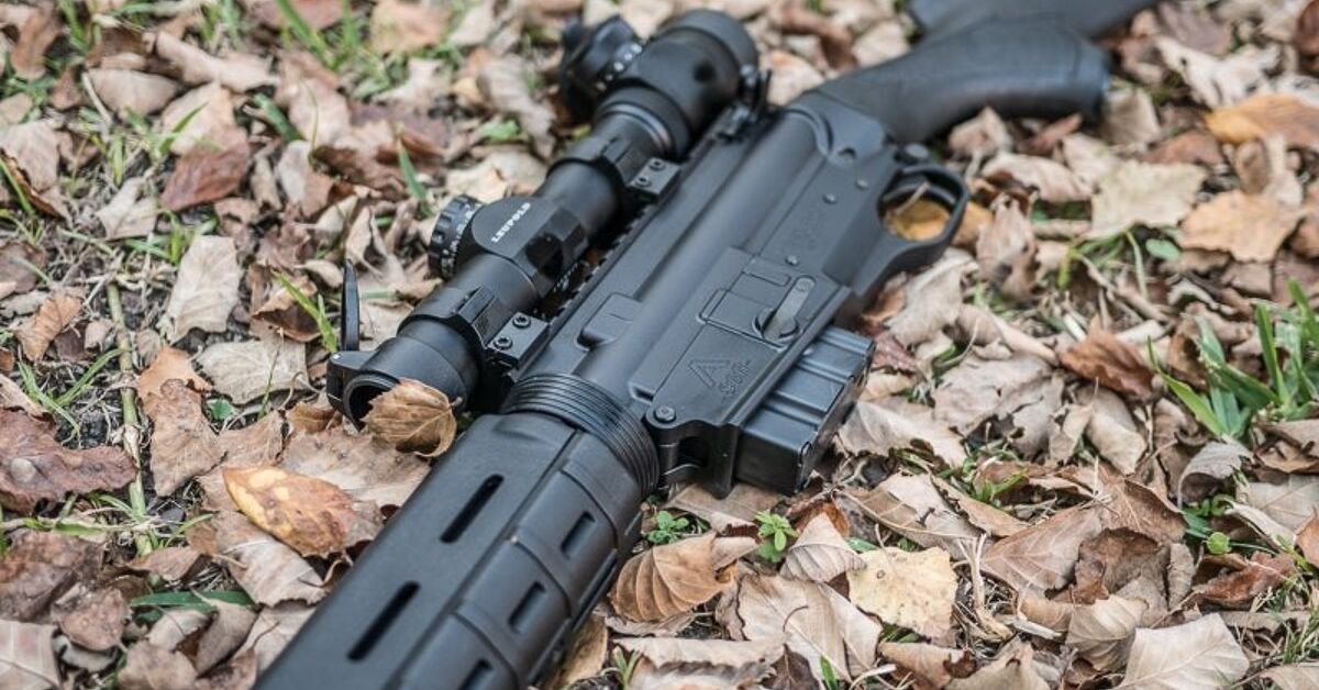 www.thefirearmblog.com
