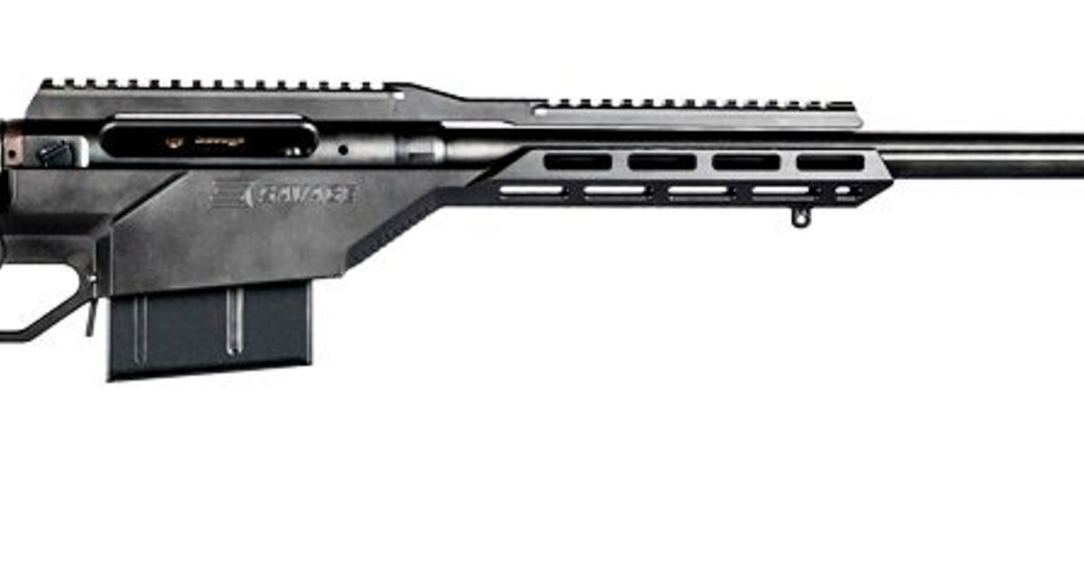Savage Arms 110BA Stealth view 3