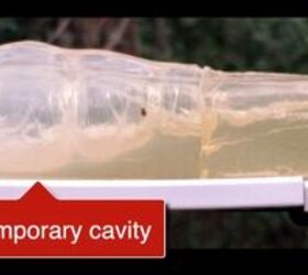 MAC Tests The Old .30 Carbine & .32 ACP in Ballistics Gel With New Bullets