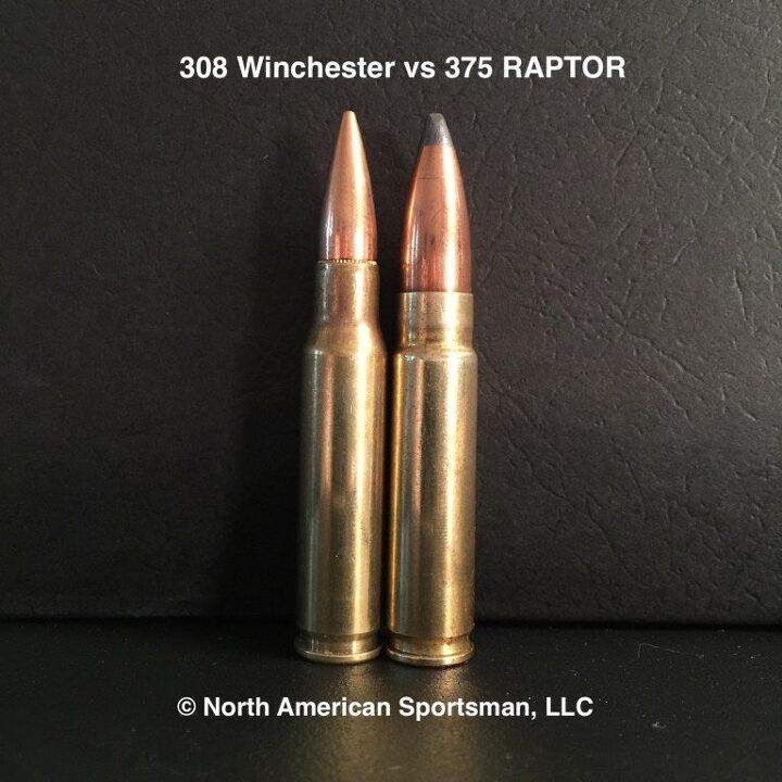 New .308 Based Cartridge – The 375 RAPTOR | thefirearmblog.com