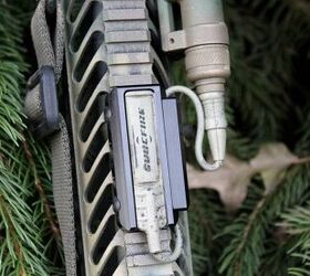 pine_closeup1_1024x1024