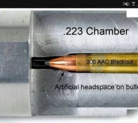 POTD: Informative .300 BLK Cutaway