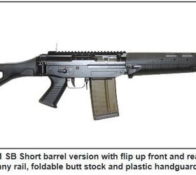 Firearms at Davos summit meeting | thefirearmblog.com