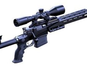 "At least" 0.5 MOA: The New SLX-308 from Ritter & Stark