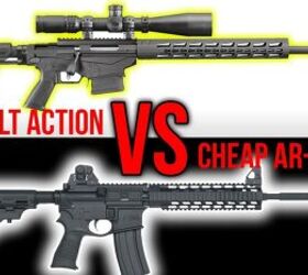 Expensive Bolt Action vs. Cheap AR-15