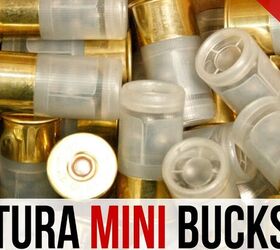 Shorty Shotty Gel Test: Ventura 12ga #0 minibuck