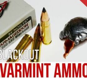 Would You Trust This Varmint Ammo For Defense? Nosler .300 AAC 110gr Varmaggedon Gel Test