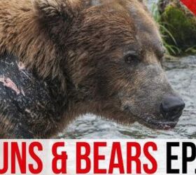 Guns vs. Bears 2: Glock or .44 Magnum for Grizzly?