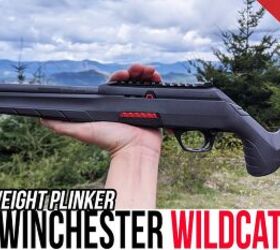 NEW Winchester Wildcat Review: Featherweight Plinker