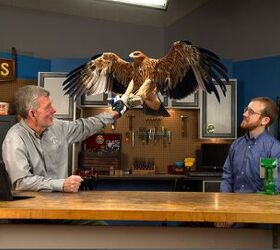 Brownells Expands into Tactical Falconry